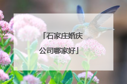 石家庄婚庆公司哪家好